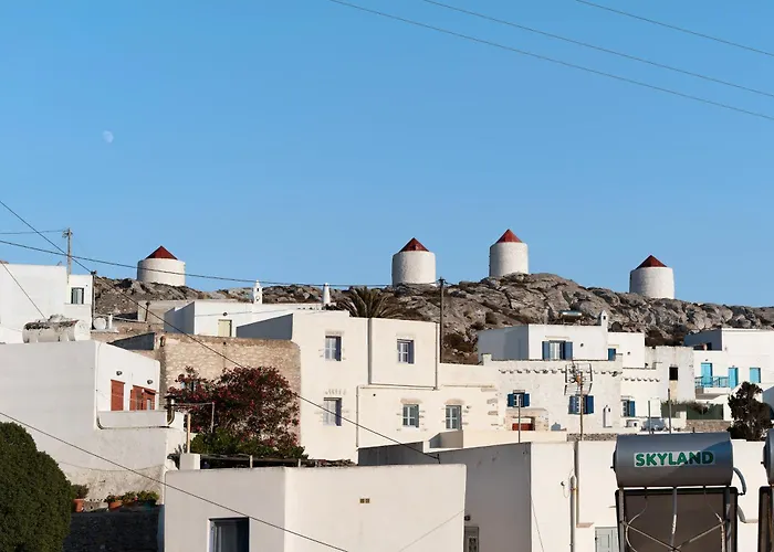 Politimis N1 Appartement