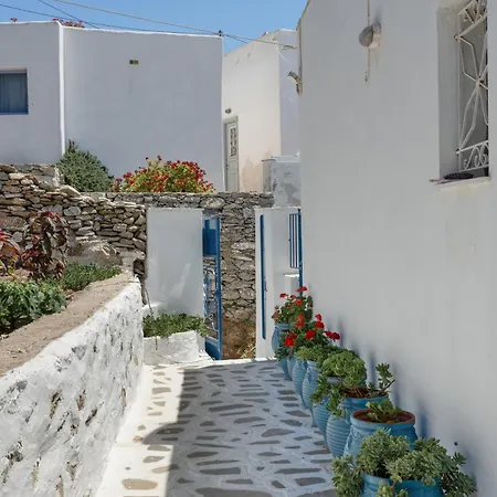 Apartment Politimis N1