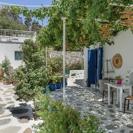 Politimis N1 * 阿莫尔戈斯